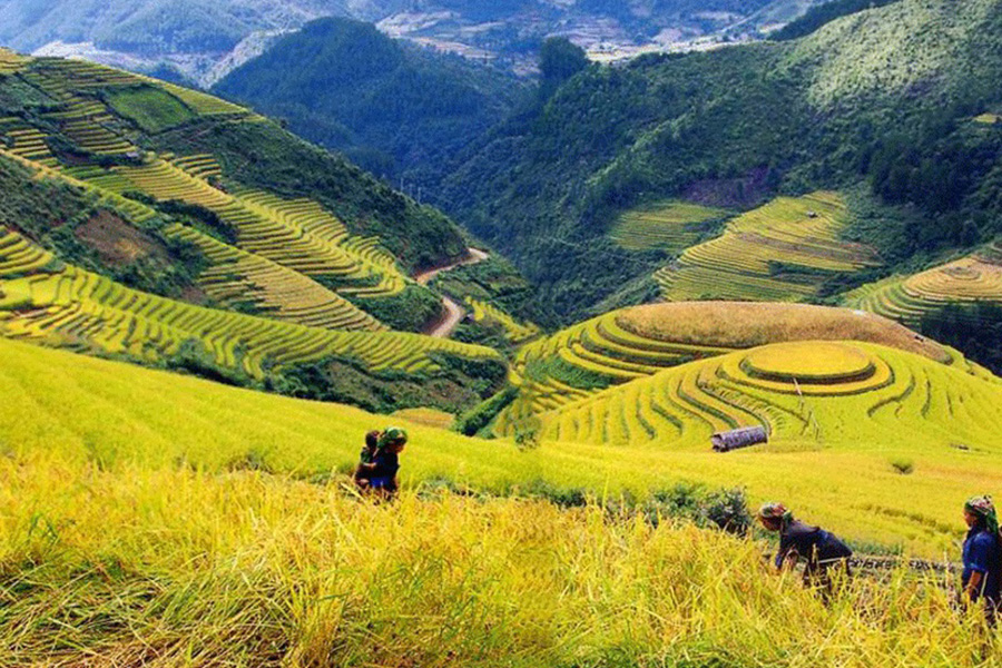 HILL TRIBES OF NORTHERN VIETNAM DISCOVERY